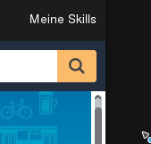 Alexa.amazon.de-03-meine skills.png