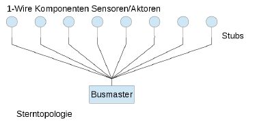 Sterntopologie