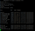 A new telnet connection after issuing a version command